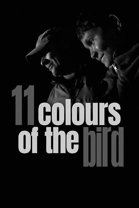 11 Colours of the Bird